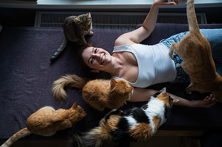 顶端的景色是一位躺在咖啡馆的女人 在猫店里养猫动物猫咪微笑哺乳动物享受女性亲热喜悦宠物乐趣图片