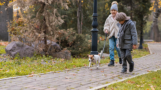 秋天 兄弟姊妹在公园里走狗 男孩女孩和杰克鲁赛尔骑着领带跑动物婴儿享受家庭男生小狗孩子们闲暇姐姐皮带图片