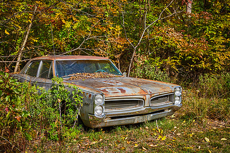 鲁斯特·庞蒂亚克汽车从边上开到森林里 周围有落叶叶图片