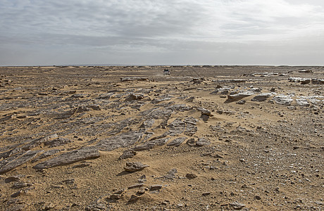 巴伦沙漠地貌 气候炎热 车上有越野车辆岩石远景粉笔沙丘公园地面环境旅行荒野风景图片