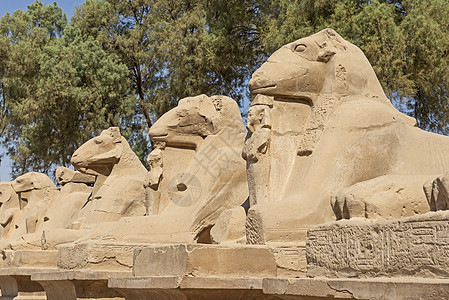 埃及Karnak寺庙的大型公羊雕像 以斯芬克斯为首旅游石头建筑学宗教艺术景点地标历史考古学法老图片