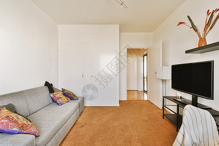 客厅 有沙发和电视机地毯木头酒店椅子房子奢华公寓装饰房间窗户图片