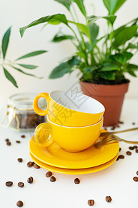 美丽的早晨 煮咖啡的过程 一个自动滴滤式咖啡机 白色桌子上放着一个黄色杯子 上面散落着咖啡豆 在背景的绿色花盆图片