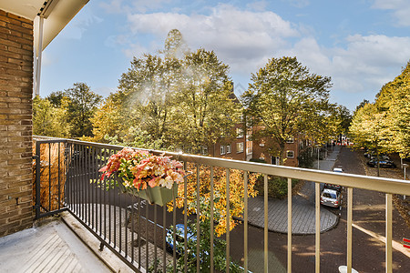 阳台 有街道和树木的风景栏杆旅游门廊旅行城市栅栏建筑学花朵障碍季节图片
