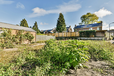 房子的后院 有围栏和花园院子场景农村植物天空旅行小路场地栅栏环境图片