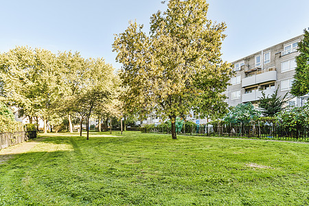 公寓楼旁边的绿色公园图片