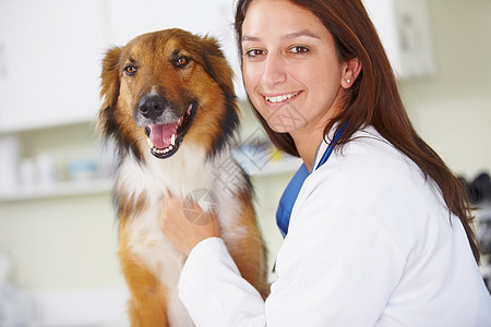 定期检查对犬类健康至关重要 一个微笑的女兽医和一只快乐的看狗的肖像图片