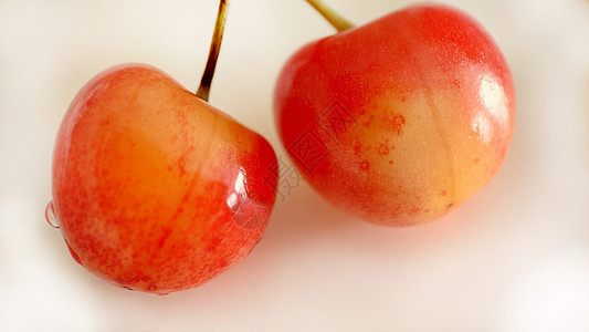 两个成熟的樱桃 在光背景上贴近图片