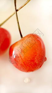 两个成熟的红黄樱桃 在光背景上贴近图片