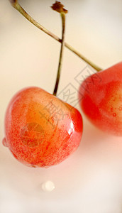 有选择地有选择地在浅薄的背景之下突出展示出熟熟樱桃的近缝图片