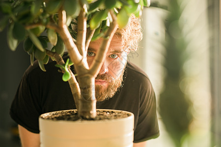 在陶植植物后面出现的男性眼     监视和影子概念图片