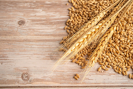 有机农业农场的谷物和小麦耳朵场地食物标识金子收成营养大麦种子生长小穗图片