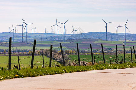 农村农场道路 其背景背景中有许多风力涡轮机前有葡萄园;图片