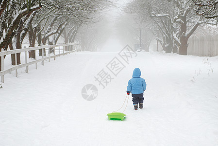 一个男孩独自走回家 将他的雪橇拖在身后图片
