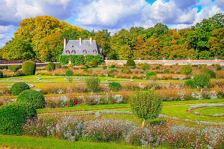 法国卢瓦尔河谷公园秋叶花色 配有花园风景街道植物季节公共公园首都农村摄影旅行林地图片