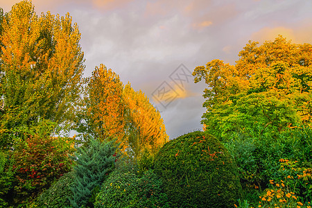 法国卢瓦尔河谷公园秋叶花色 配有花园全景公共公园林地季节橙子首都风景旅游摄影金子图片