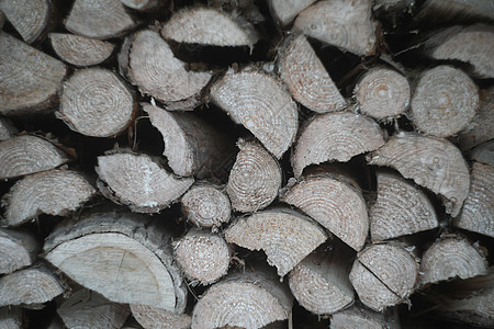 天然木制背景 为冬天堆积和准备的木柴 堆原木 作为背景的木自然被锯的原木木材天空松树生态植物库存材料林业树干贮存图片