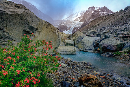 的冰川 Fitz Roy 阿根廷巴塔哥尼亚图片