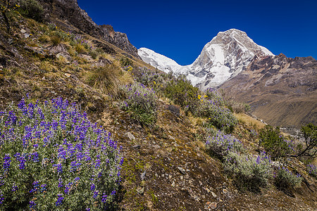 在的Huascaran山群 雪压安第斯山脉 秘鲁安卡什山峰旅游火山冰川目的地荒野山脉景观风景冒险图片