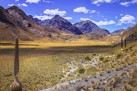 油田和Carpa山谷 秘鲁安第斯州国际异国草原植物草地山脉目的地情调地标天空图片