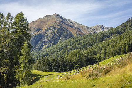瑞士格劳本登州恩加迪内上层的苏氏体阿尔卑斯山地貌目的地旅游自然天空假期旅行森林野花文化草地图片