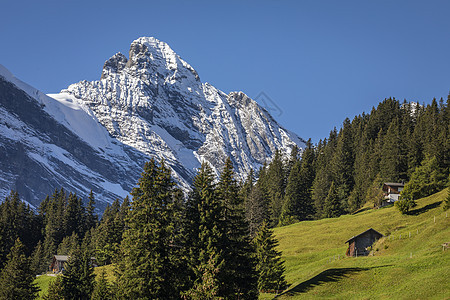 瑞士伯尔尼高山 布雷支山和高山农场 瑞士风景高地旅游雪山乡村谷仓国际小木屋地标冰川图片