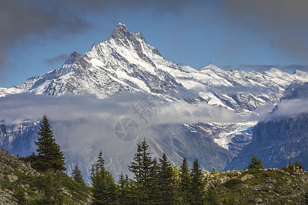 瑞士林德尔瓦尔德 伯尔尼高地雪薄冰瑞士阿尔卑斯山地标国际山脉假期戏剧性僧侣地方高地天空松树图片