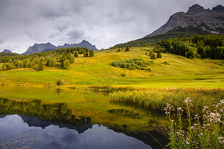 瑞士格劳本登州恩加迪内上层的苏氏体阿尔卑斯山地貌旅行假期荷花冰川天空草地日落晴天目的地自然图片
