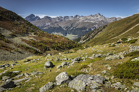 瑞士格劳本登州恩加迪内上层的苏氏体阿尔卑斯山地貌目的地森林旅游自然冰川旅行晴天山峰草地假期图片