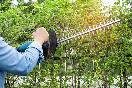 园丁拿着电源对冲三角器 把花园的树顶切开修剪工具爱好生长设计师种植男人树篱电气剪刀图片