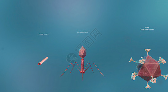 病毒是一种亚微观感染因子 仅在生物体的活细胞内复制微生物学疾病免疫系统细胞衣壳细菌螺旋马赛克遗传感染图片