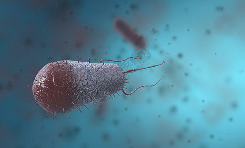 Bacillus是一种以杆或棒为形式的克阳性和波状成形细菌微生物学质粒梅毒螺旋体牙关寄生虫伤口细胞膜疾病细胞壁图片