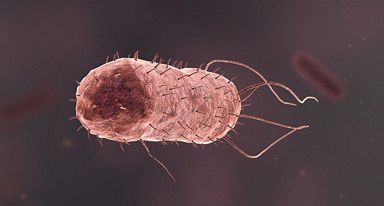 细菌是小型的单细胞生物伤口细胞感染细菌学梅毒鞭毛螺旋细胞膜质粒霍乱图片