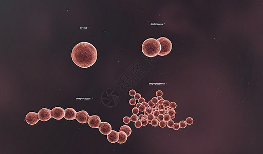 固体细胞壁决定了细菌的形状淋病瘟疫感染微生物学牙关生物毒素球形生物学鞭毛图片