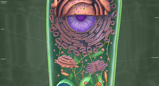 流感是家族的一股RNA病毒疾病烟草衣壳螺旋细胞物质微生物学免疫系统马赛克细菌图片
