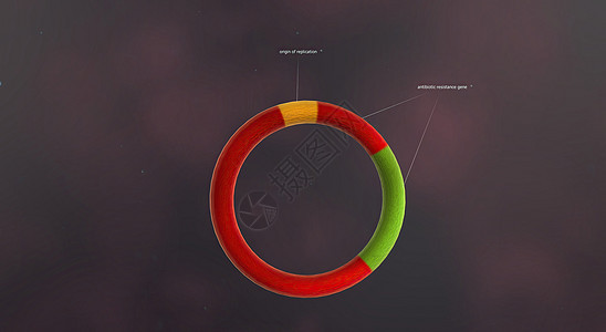 样板含有一种与染色体分开的自我复制DNA梅毒分裂病原螺旋微生物学牙关细菌学毒素质粒杆状图片