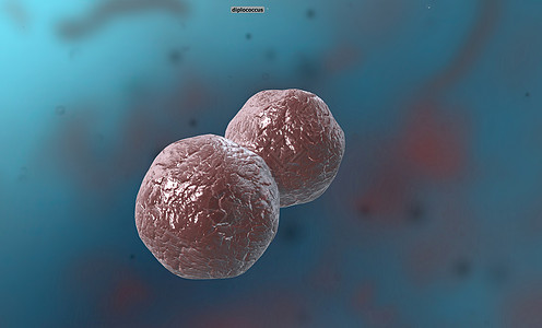 COCP是具有球状 oval形或一般圆形的任何细菌或考古体细菌学发烧毒素生物学伤口生物淋病球形细胞壁药品图片