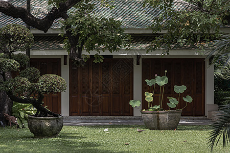 古代花盆里有美丽的花园和莲花的泰式展厅建筑前台图片