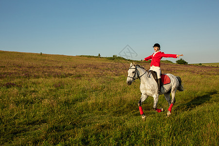 骑红马的女骑士 骑马 赛马 骑马的人马背闲暇马具宠物头发骑术马术舞步时尚竞赛图片