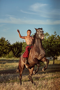 帅帅的牛仔骑在马上  天空和树木的背景旅行骑师自由男朋友衣服管道动物健身马镫腹部图片