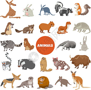 卡通野生动物人物大 se插图动物园漫画犰狳水豚收藏墙纸荒野剪贴兔子图片