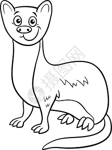 哺乳动物可爱的卡通漫画黄鼠狼动物性格彩色页面插画