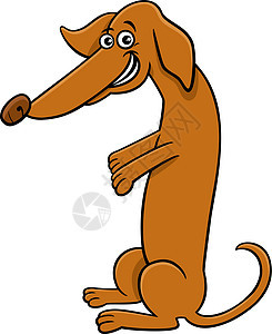 卡通腊肠狗漫画动物人物图片