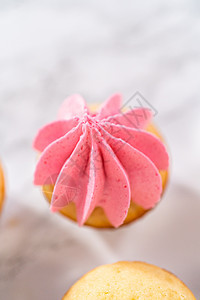 迷你香草蛋糕和粉红奶油冰霜小吃食物糖霜甜食色素甜点蛋糕刨冰糖果糕点图片