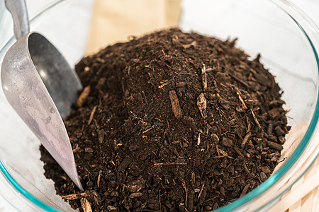 播种种子幼苗有机物花园生活种植集装箱可持续土壤菜园土层图片