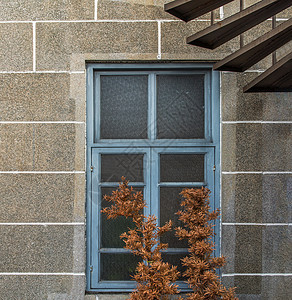 砖头墙和树上的浅蓝色木制玻璃窗 前窗上有橙色叶子的面板图片