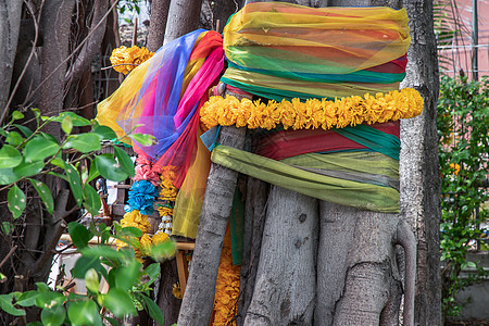 万寿菊花环和织物颜色五颜六色的树缠绕在树上的五颜六色的布是泰国村民的信仰叶子丝带树木宗教文化领带上帝幸福蓝色艺术图片