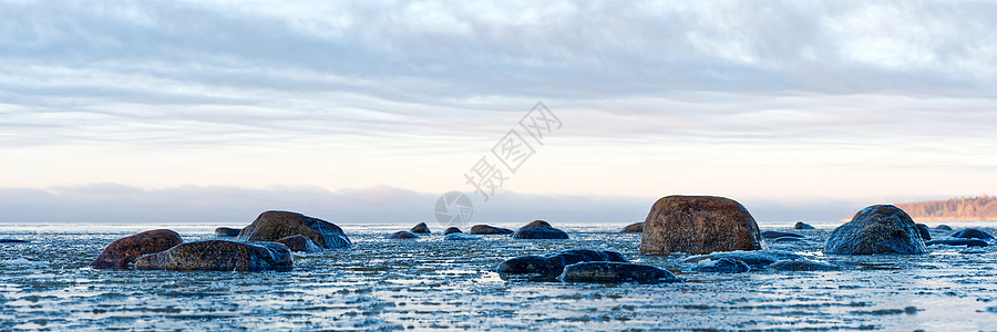 日落时 波罗地海的白雪覆盖海岸全景 海上近距离冰块碎片日出海滩针叶林旅游海洋旅行蓝色天空生态林地图片