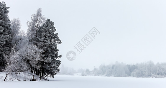 冬季背景 圣诞节地貌 雪中森林降雪寒冷木头蓝色天气旅行风景天空树木爬坡图片