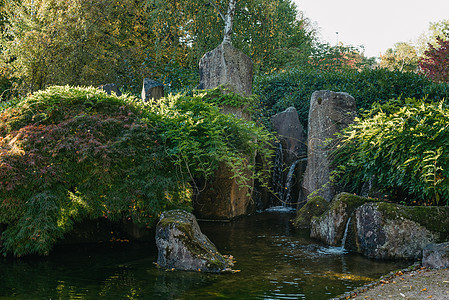 德国巴登符腾堡州比蒂格海姆比辛根公园风景秀丽的日式花园和瀑布 日本水上花园 日本绿色花园公园绿色夏季禅湖池塘水中的瀑布与树木公园图片